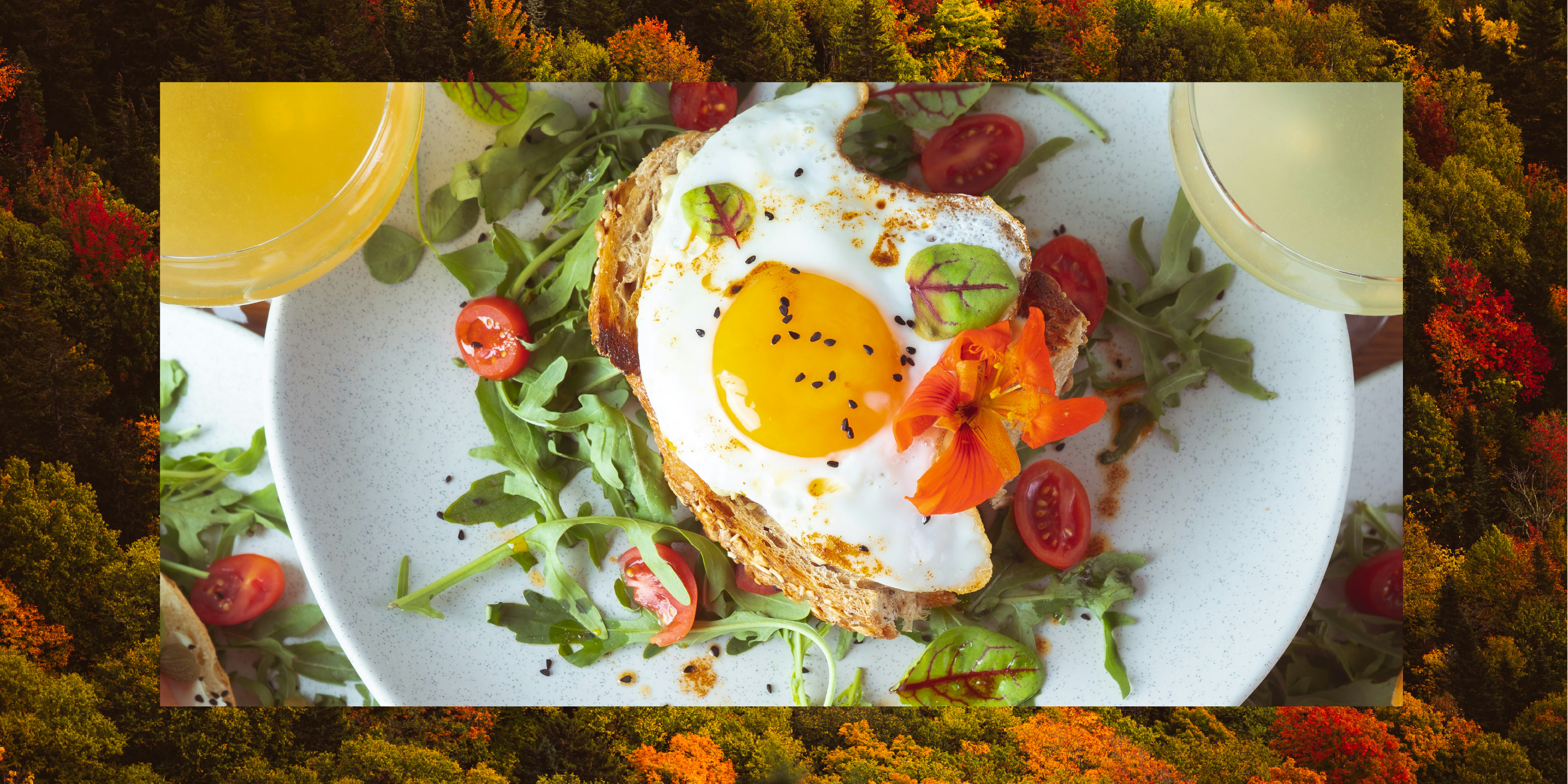 Brunch des couleurs 