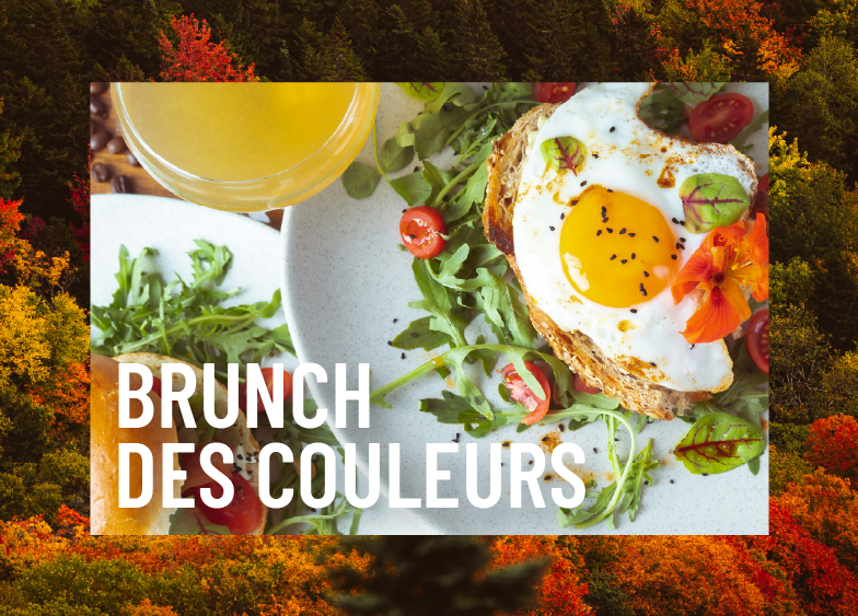 Brunch des couleurs 