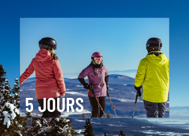 Billet Ski - 5 Jours 